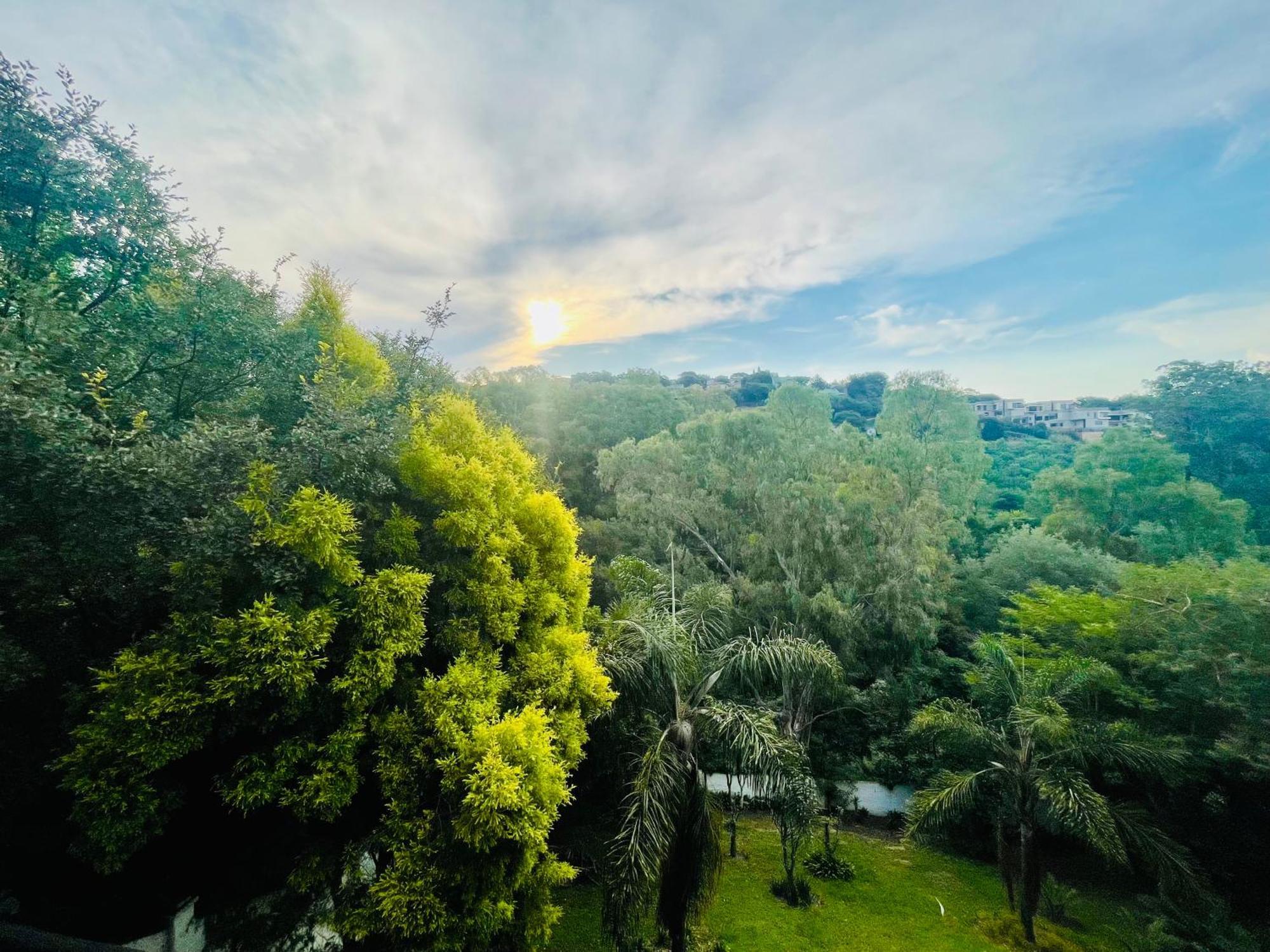 Pretoria Mansion Boutique Hotel Coral Tree ภายนอก รูปภาพ